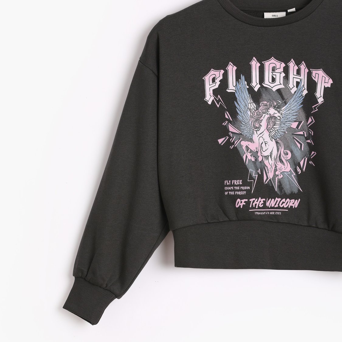 Juniors Unicorn Print Sweatshirt with Long Sleeves and Crew Neck