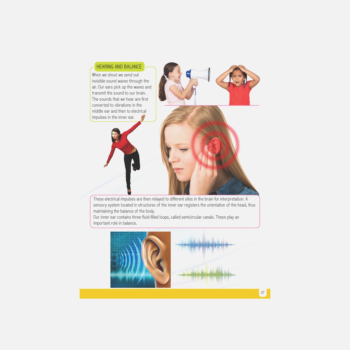 Dreamland Human Body Minipedia