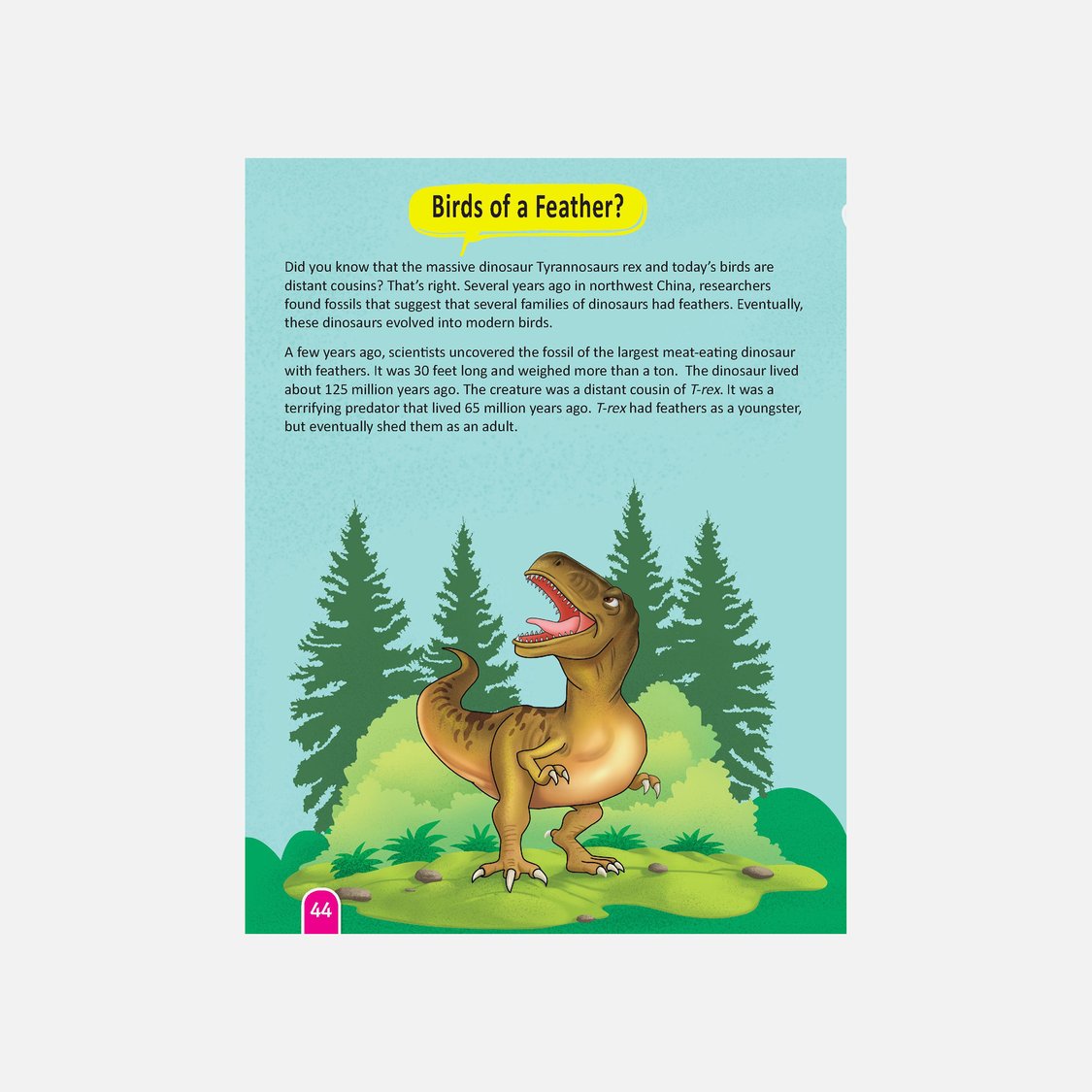 Dreamland STEM Activity Book - Science