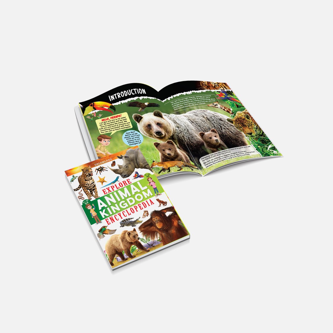 Dreamland Explore Animal Kingdom Encyclopedia