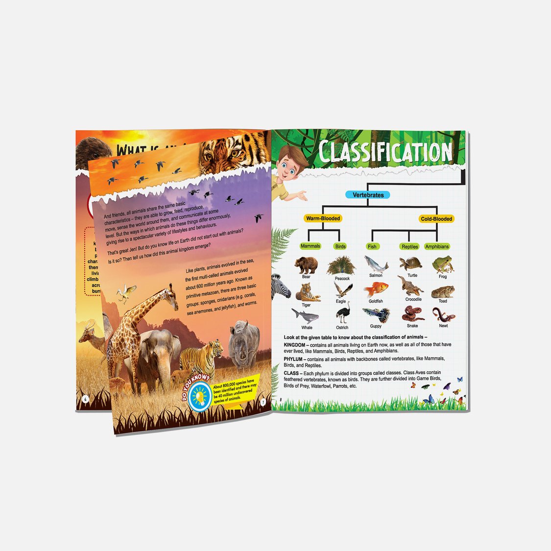 Dreamland Explore Animal Kingdom Encyclopedia