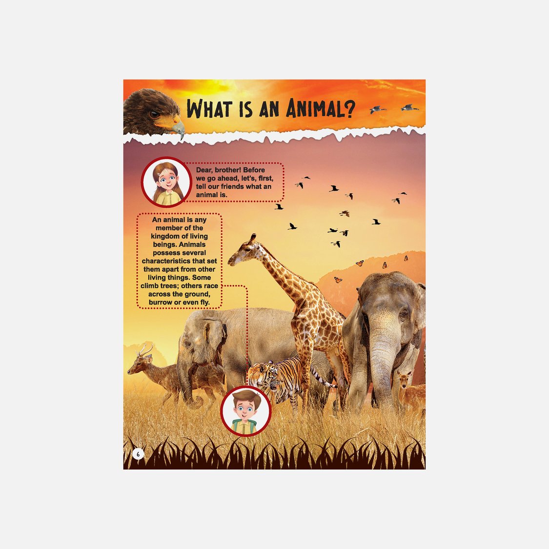 Dreamland Explore Animal Kingdom Encyclopedia