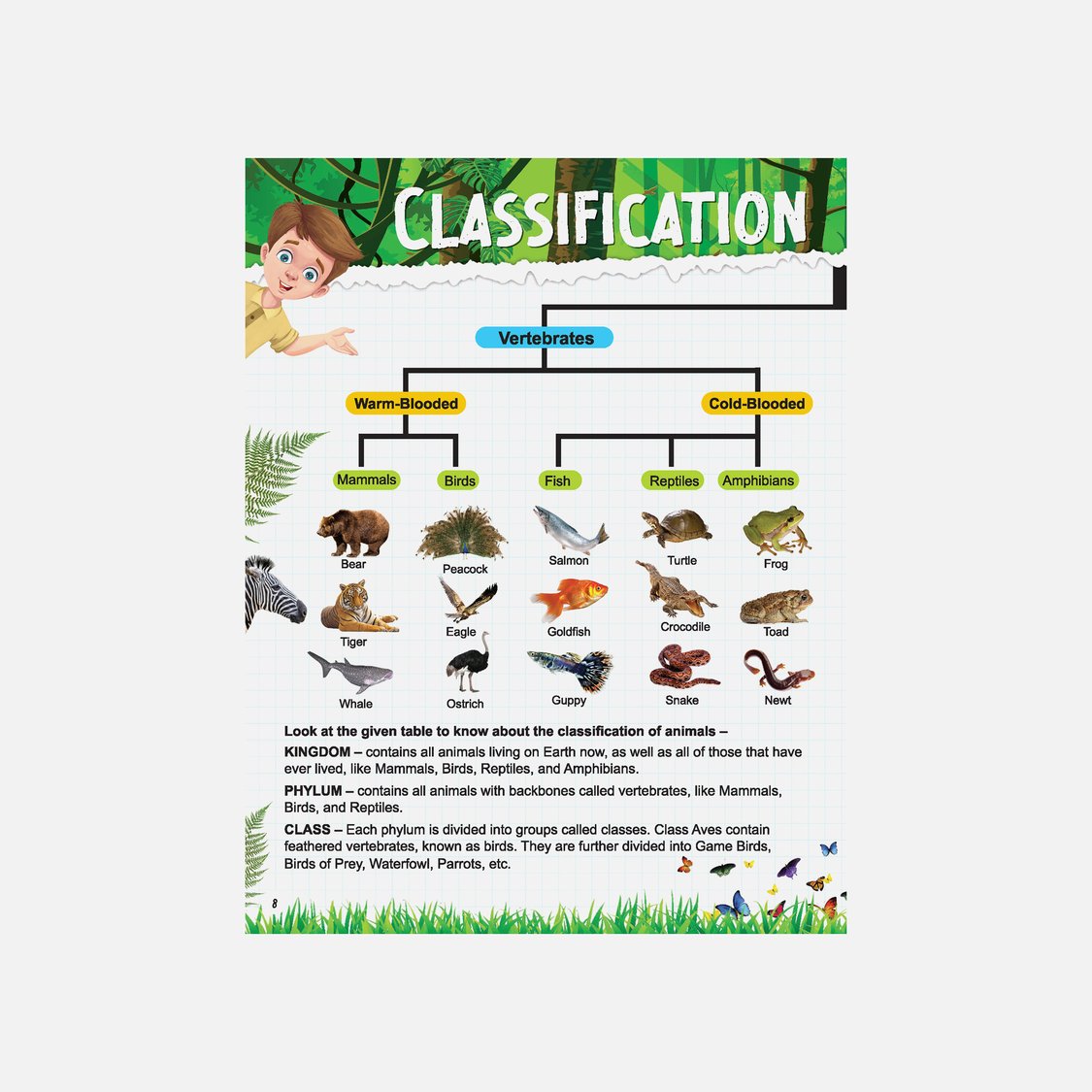 Dreamland Explore Animal Kingdom Encyclopedia