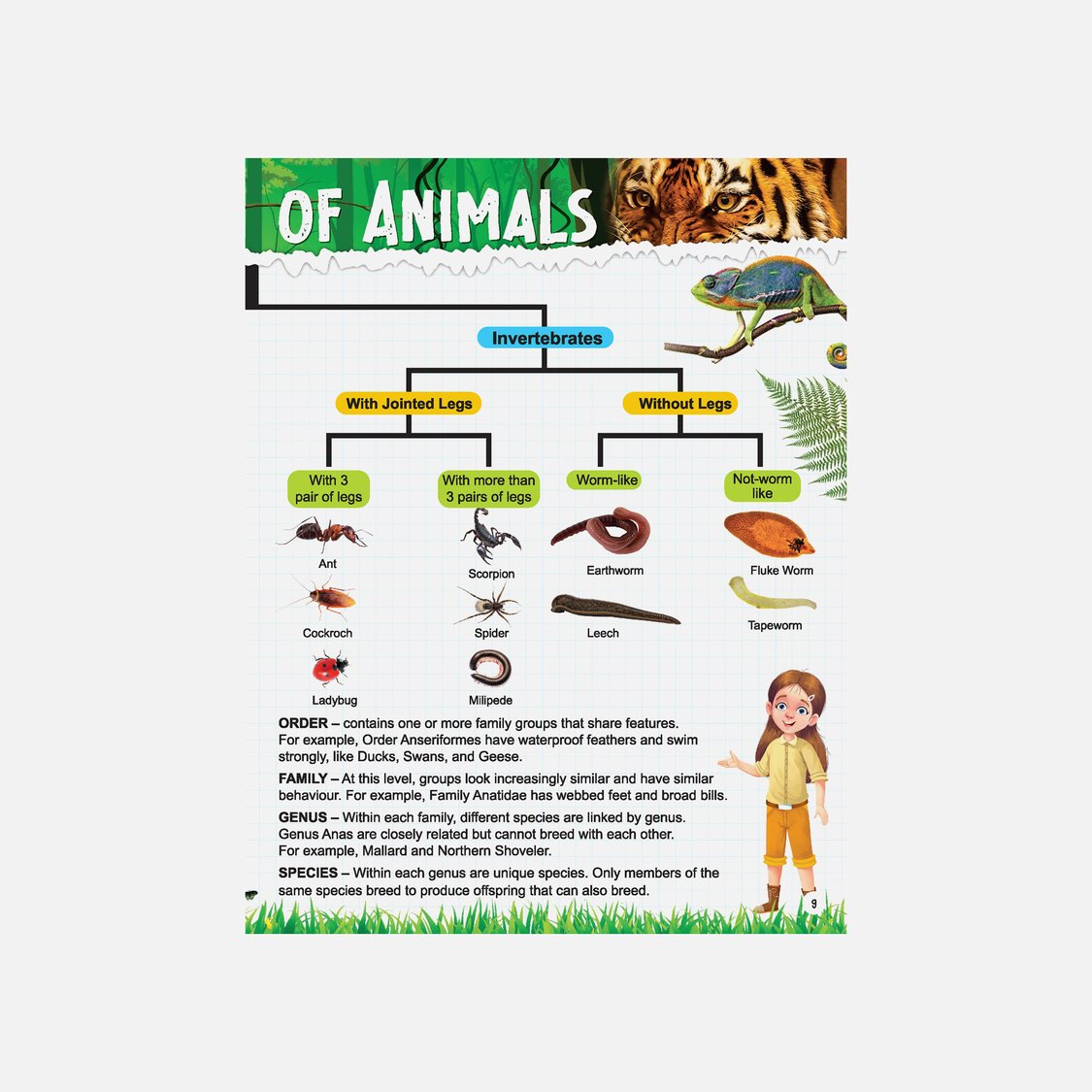 Dreamland Explore Animal Kingdom Encyclopedia
