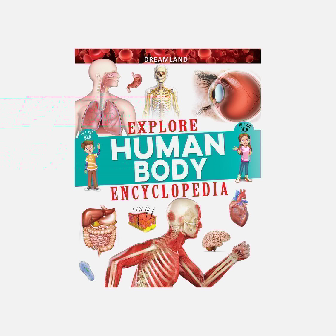 Dreamland Explore Human Body Encyclopedia