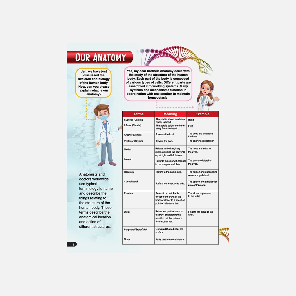 Dreamland Explore Human Body Encyclopedia