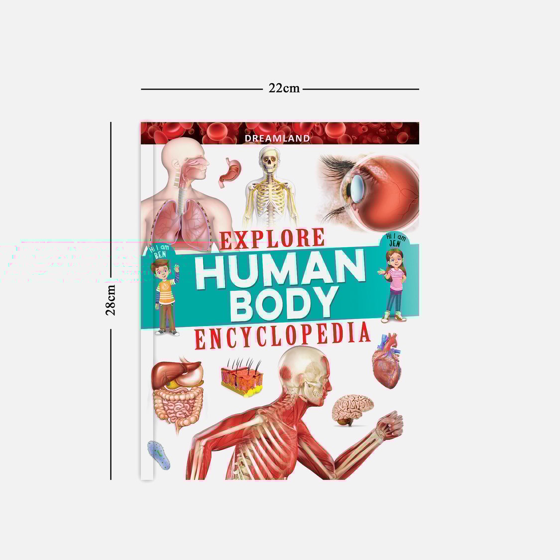 Dreamland Explore Human Body Encyclopedia