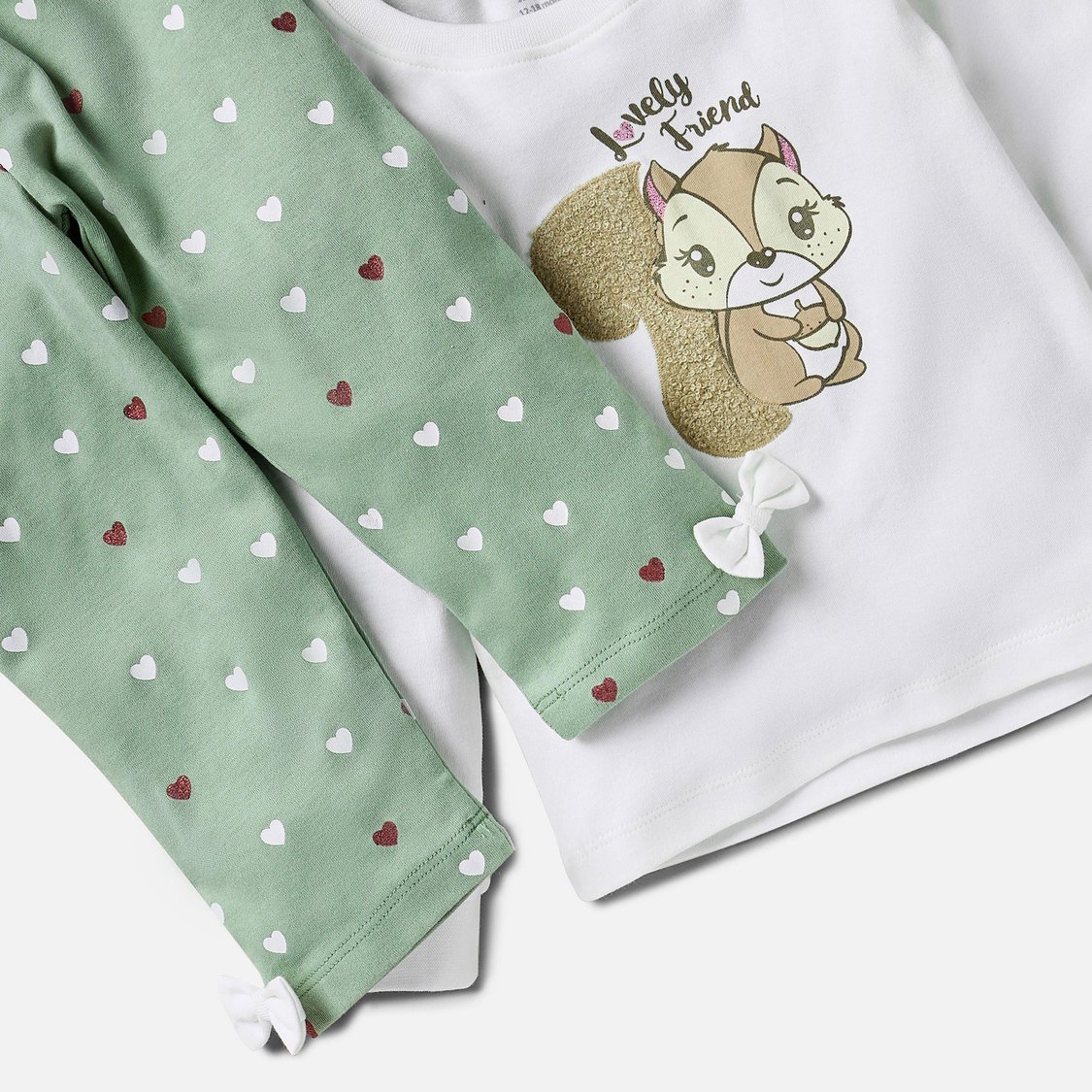 Juniors Squirrel Applique Long Sleeves T-shirt and Pyjama Set