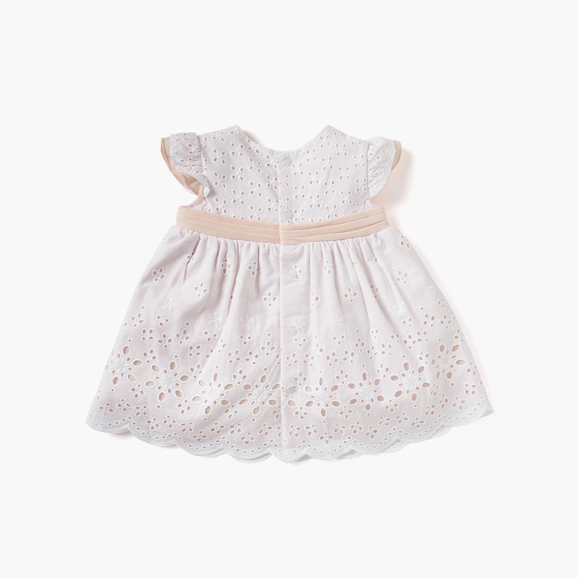 Giggles Schiffli Embroidered A-line Dress with Ruffle Sleeves
