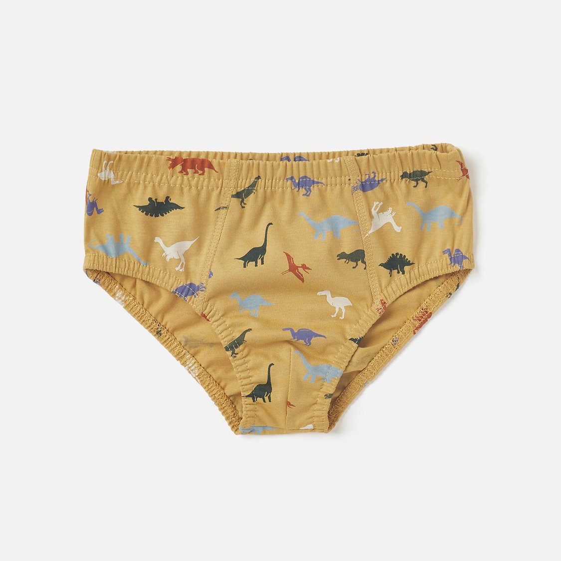 Juniors Dinosaur Print Briefs with Elasticated Waistband - Set of 5