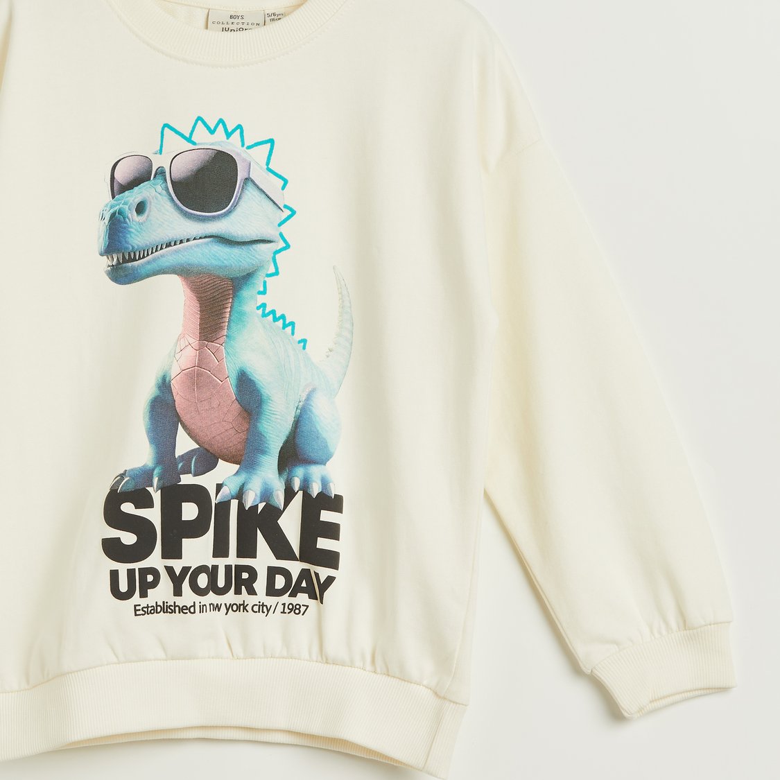 Juniors Dinosaur Print Sweatshirt with Long Sleeves