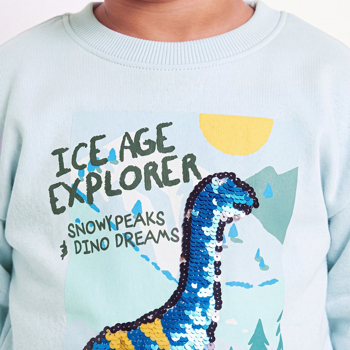 Juniors Dinosaur Embellished Sweatshirt