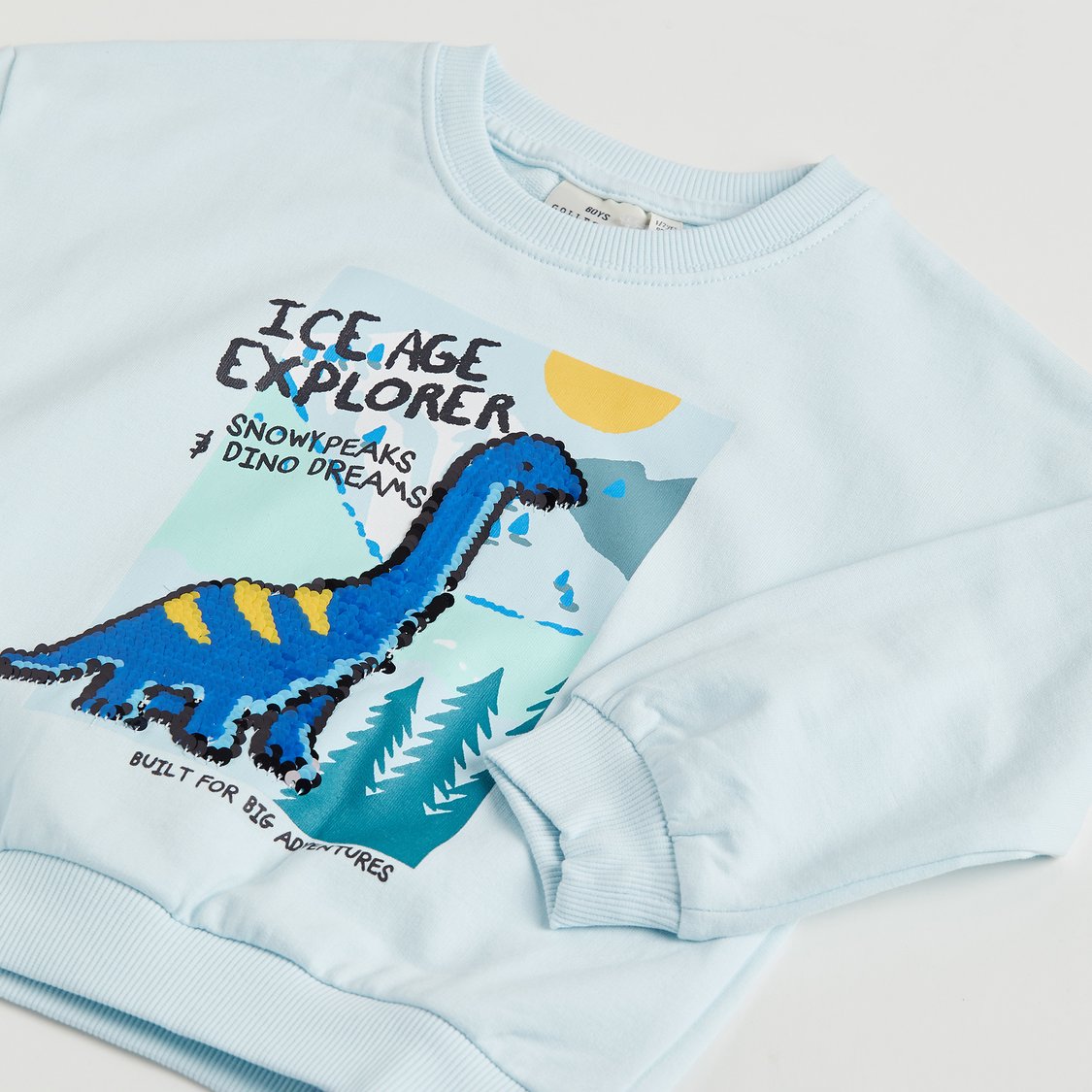 Juniors Dinosaur Embellished Sweatshirt