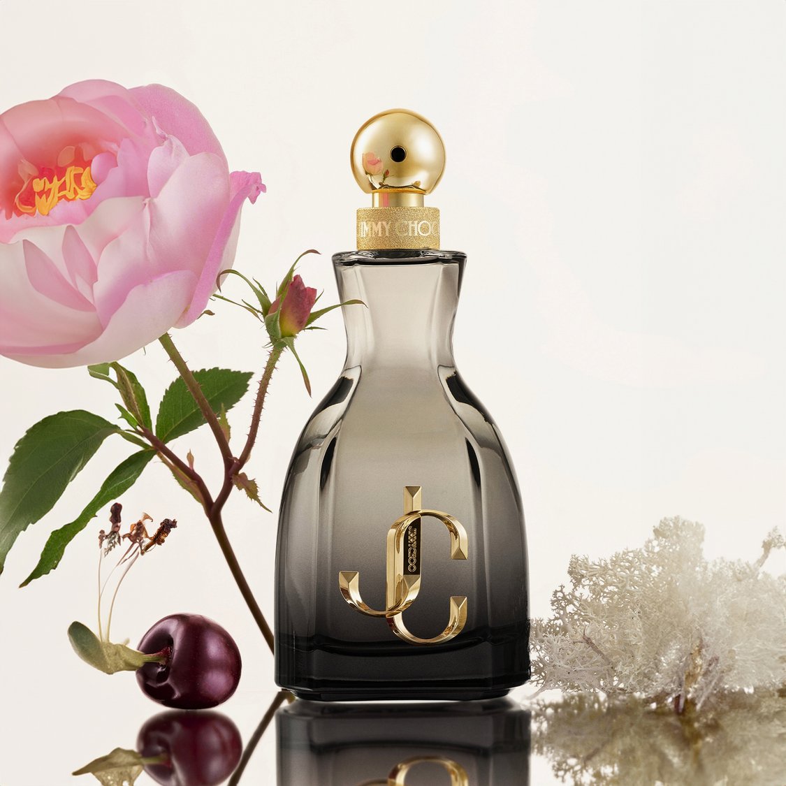 Want Choo Macy's Perfume De Mujer Jimmy Choo Jimmy Choo I