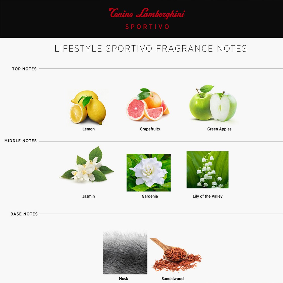 Buy TONINO LAMBORGHINI Sportivo Eau de Toilette 75ml from Tonino