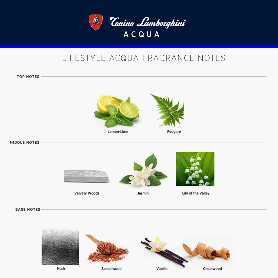 Buy TONINO LAMBORGHINI Acqua Eau de Toilette 125 ml from Tonino