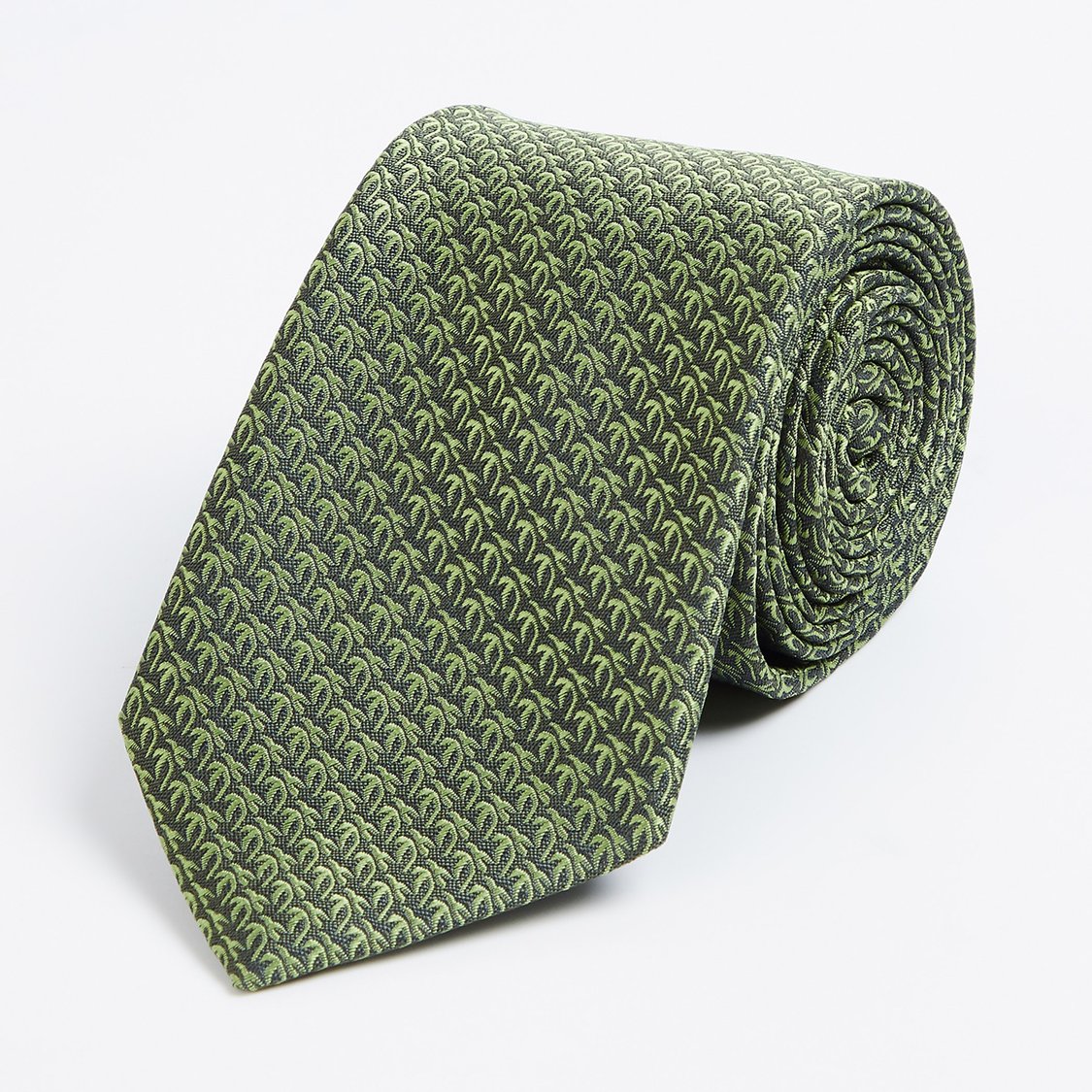 PARK AVENUE Men Printed Formal Tie