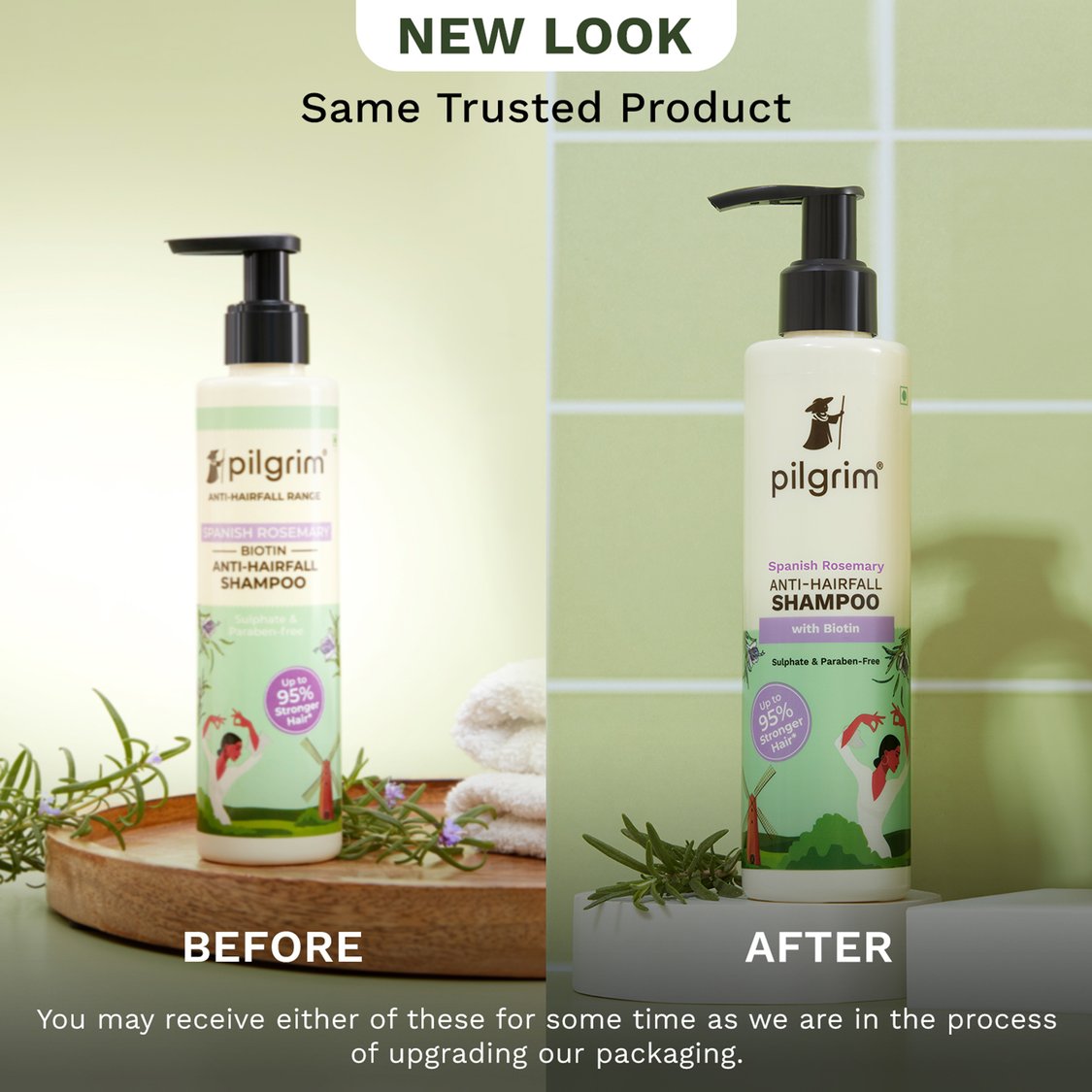 Buy PILGRIM Spanish Rosemary Anti-Hair Fall Shampoo - 200ml from ...