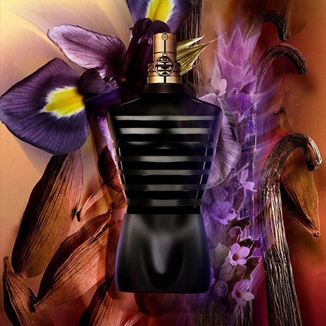 JEAN PAUL GAULTIER Le Male Eau De Parfum Intense 75ml