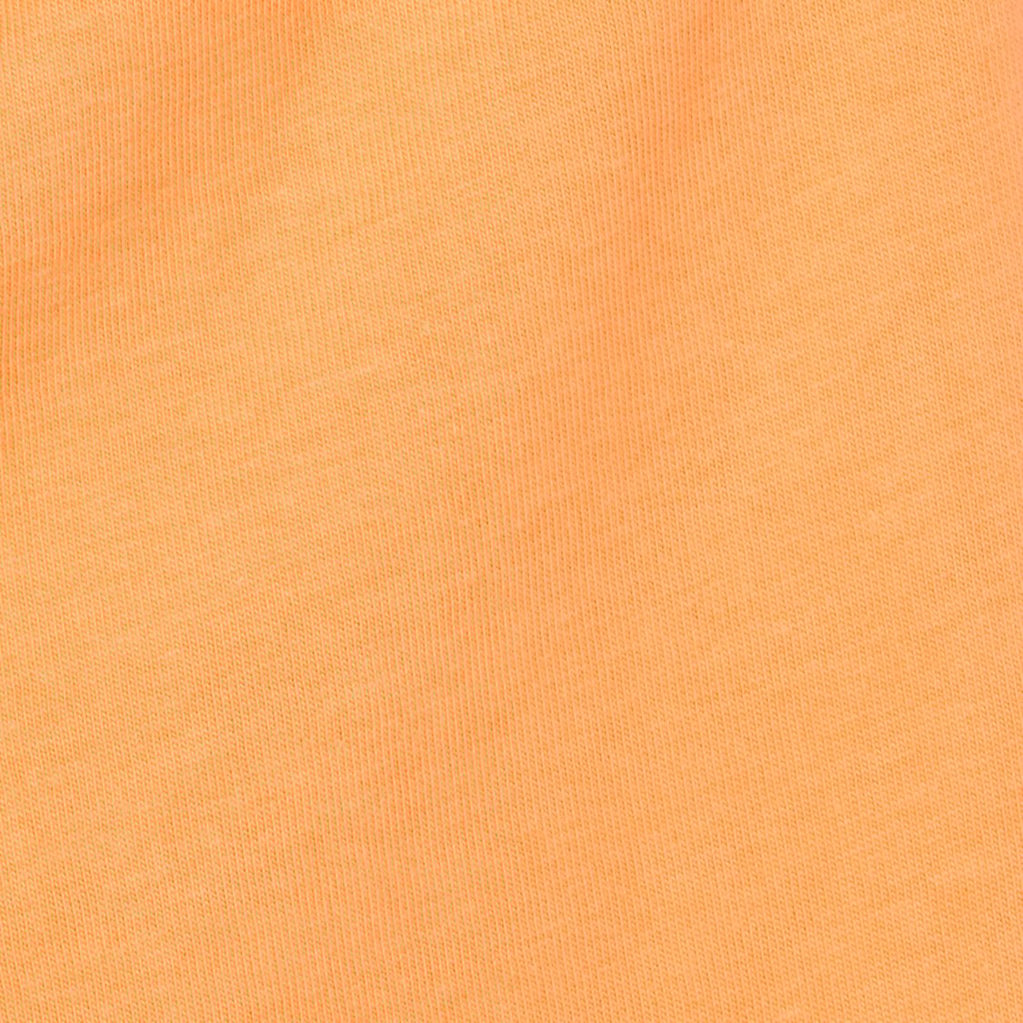 FAME FOREVER Boys Dinosaur Print Shorts