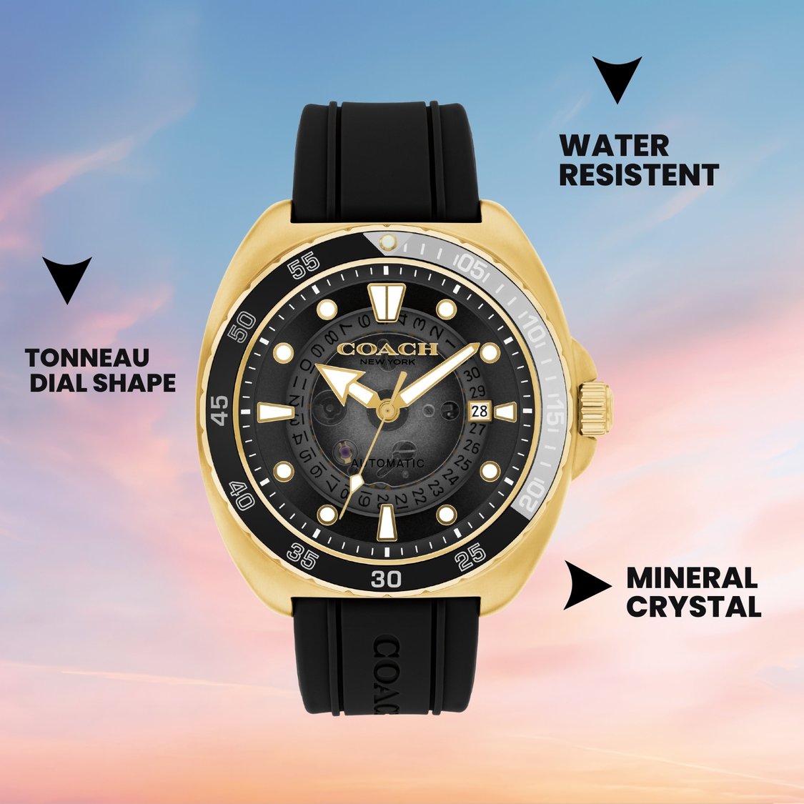 COACH Charter Automatic Watch - 14602718