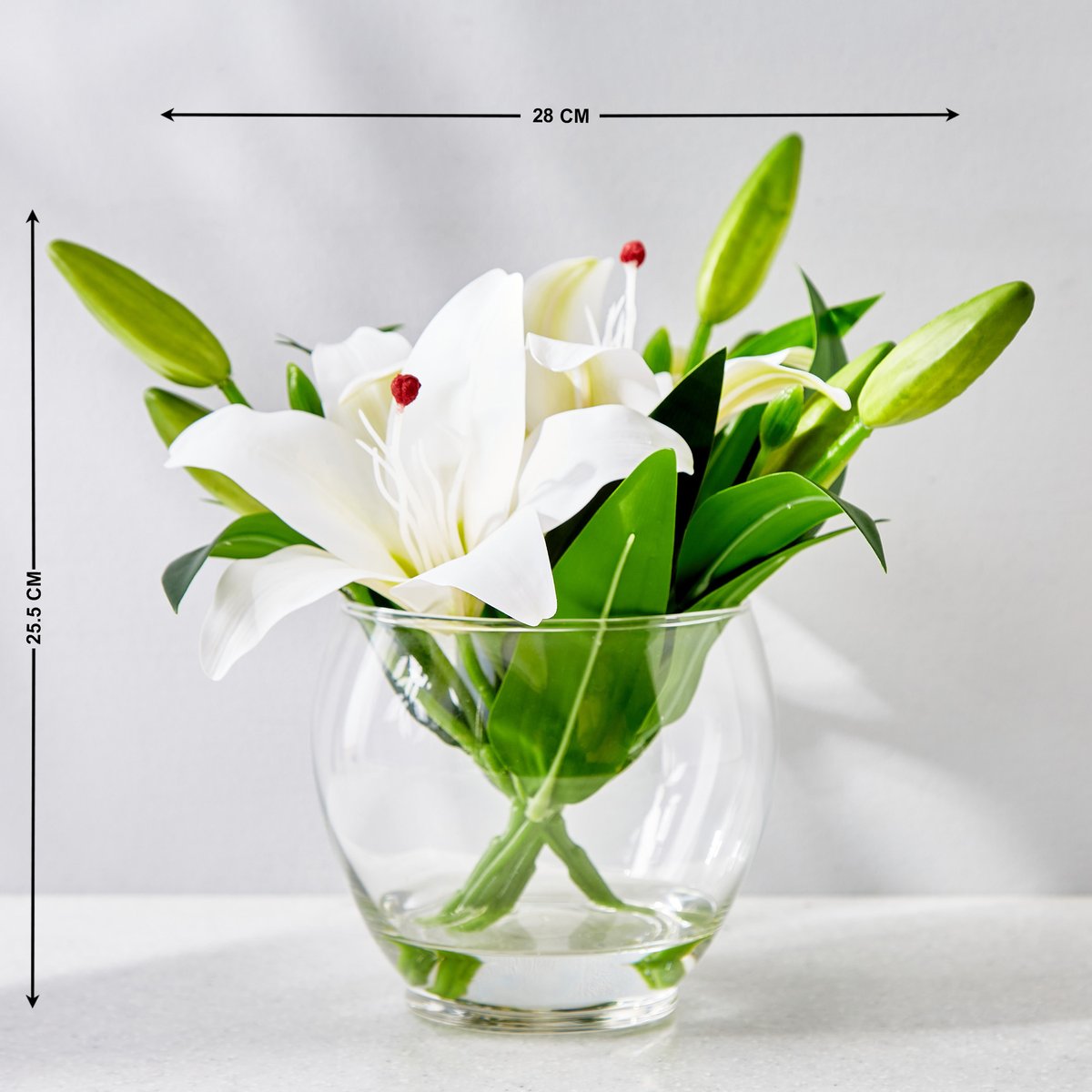 1000013912940-1000013912939_03