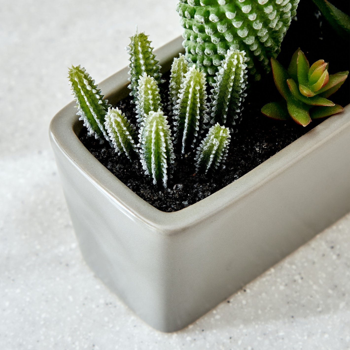 Buy Gloria Tiered Artificial Cactus Potted Plant from Home Centre