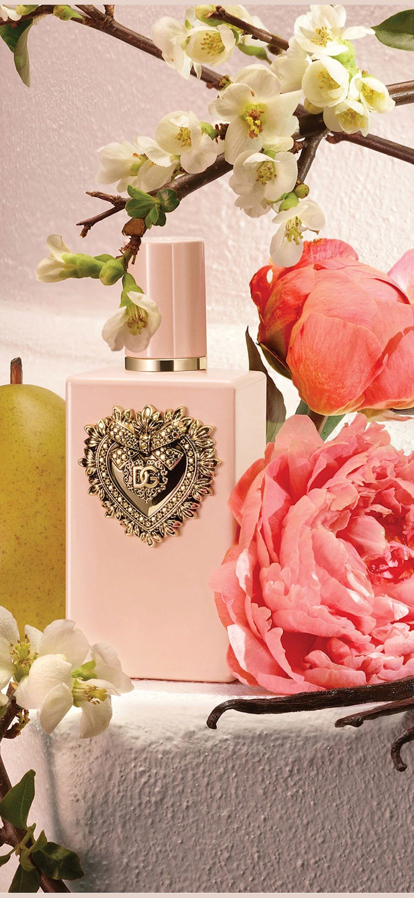 Buy DOLCE&GABBANA My Devotion Intense Eau De Parfum - 50ml from Buy DOLCE&GABBANA My Devotion Intense Eau De Parfum - 50ml from