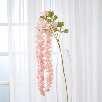 Hydrangea4937　1202 71-sUlWPtCL._AC_UF1000,