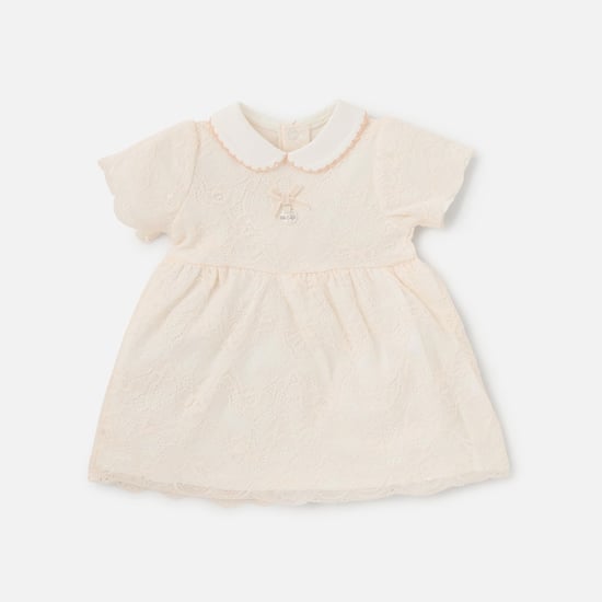 Giggles Lace Detail Dress with Peter Pan Collar and Short Sleeves