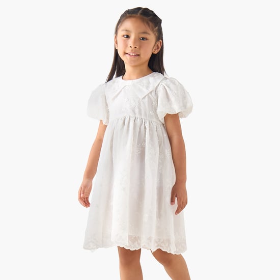 Floral Embroidered A-line Dress