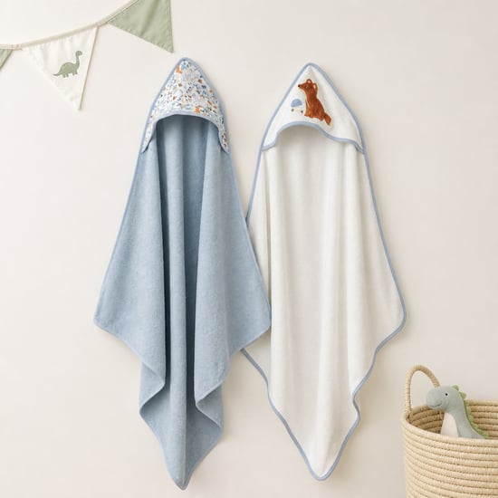Juniors Assorted Hooded Towel - Pack of 2
