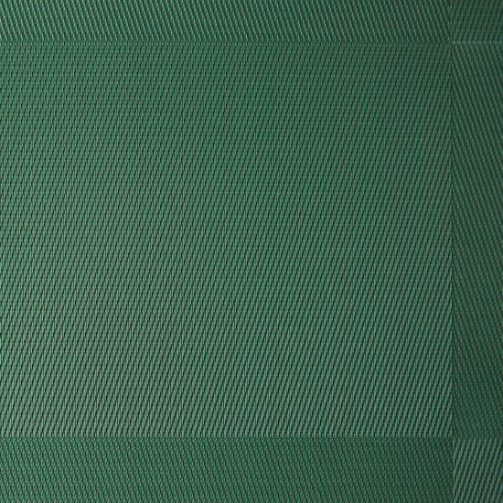 Eden Set of 6 PVC Placemats