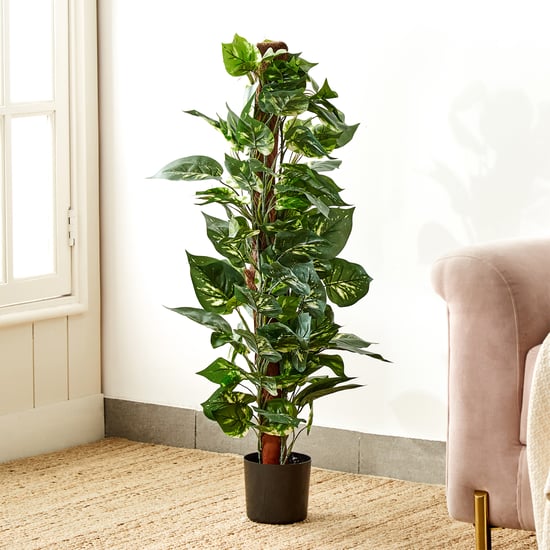 Gardenia Flora Artificial Ficus Tree in Pot - 90cm