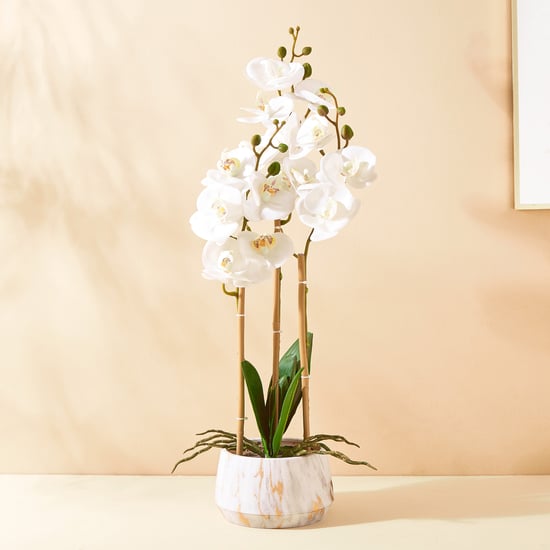 Gloria Orchids Artificial Flowers in Pot