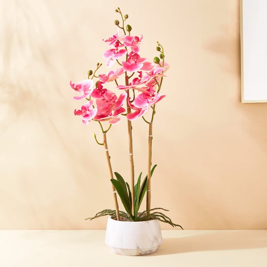 Gloria Orchids Artificial Flowers in Pot