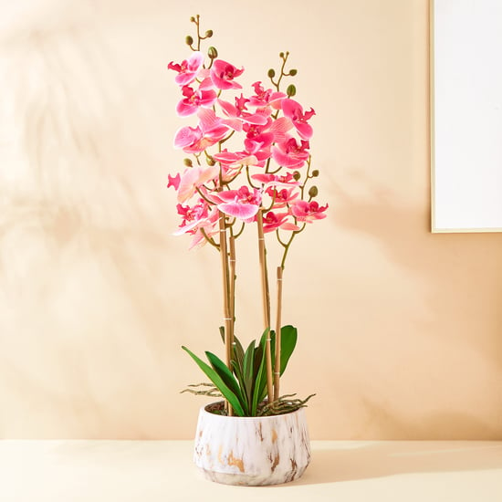 Gloria Orchids Artificial Flower in Pot