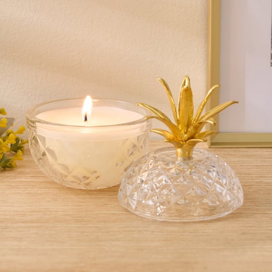 Redolence Mojitos in Male Fresh Lime Scented Jar Candle