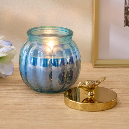 Redolence Egyptian Blue Cotton Linen Scented Bird Jar Candle