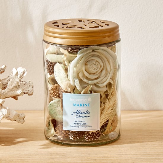 Redolence Atlantic Shimmers Marine Jar Potpourri