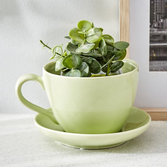 Gloria Chalice Ceramic Cup and Saucer Planter