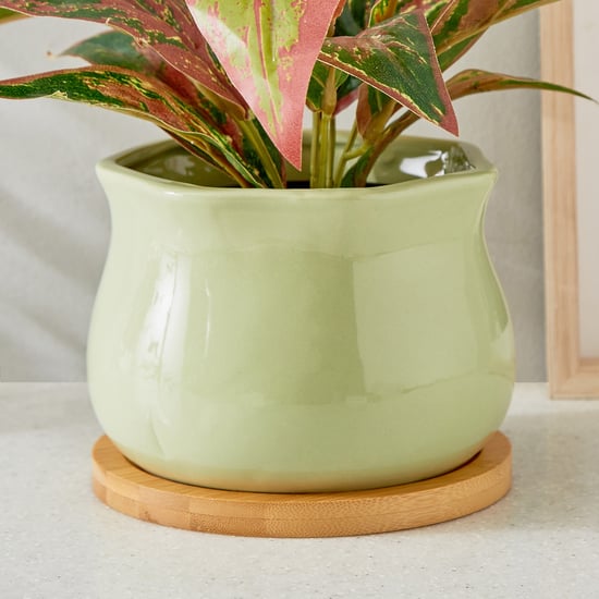 Gloria Sane Ceramic Planter with Wooden Base