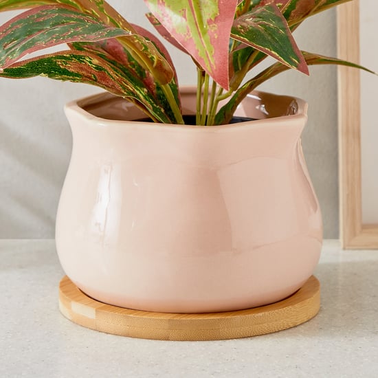 Gloria Sane Ceramic Planter with Wooden Base