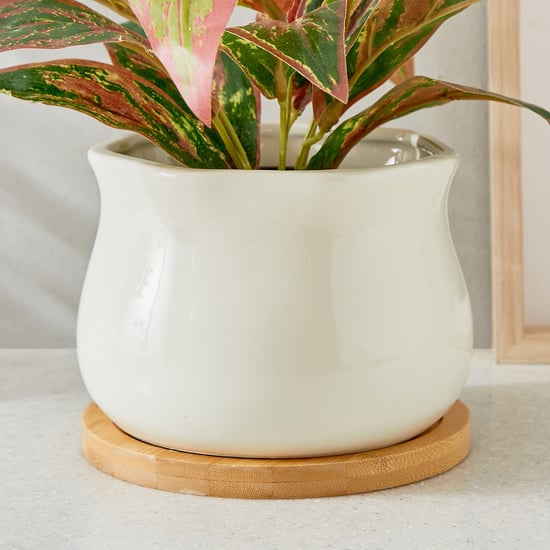 Gloria Sane Ceramic Planter with Wooden Base