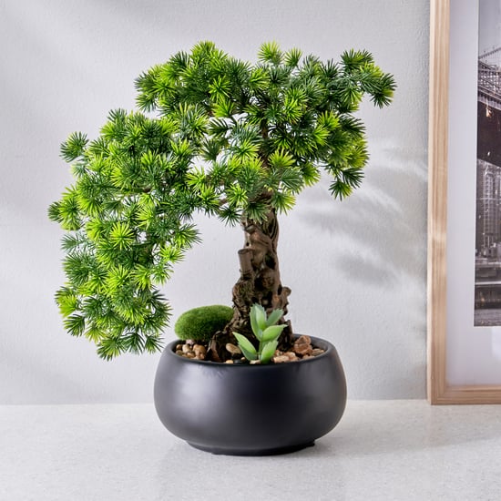 Gloria Acacia Artificial Bonsai in Ceramic Pot