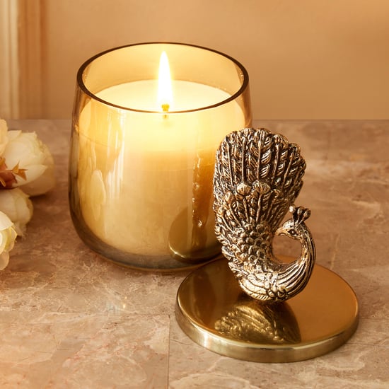 Eternity Vivere Neroli Jasmine Scented Peacock Jar Candle