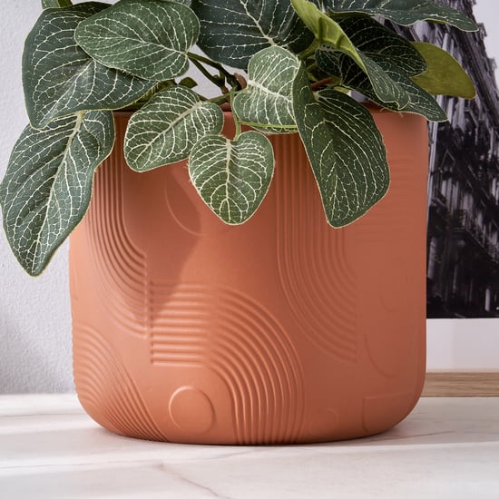 Splendid Townsquare Terracotta Planter