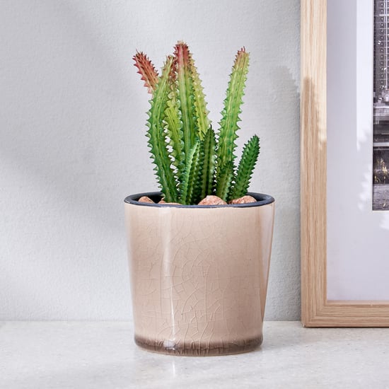 Corsica Barnett Artificial Succulent in Ceramic Pot