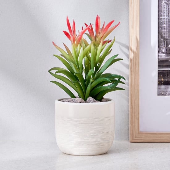 Corsica Barnett Artificial Succulent in Ceramic Pot