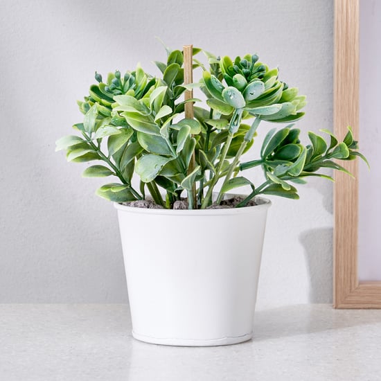 Corsica Toby Artificial Succulent in Metal Pot